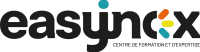 EasyinoxLogoCMJN EasyinoxLogoCMJN